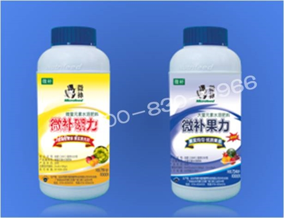 莖尖枯死,到底是缺硼還是缺鈣? 莖尖枯死,到底是缺硼還是缺鈣?