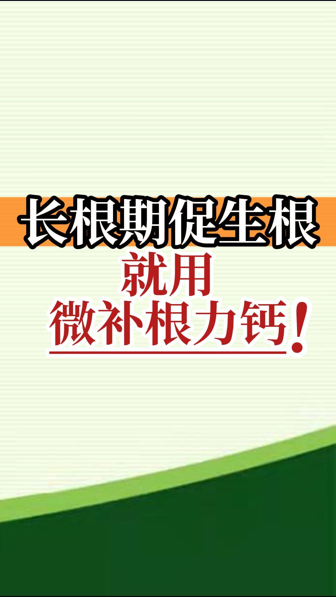 長(zhǎng)根期促生根就用微補(bǔ)根力鈣！