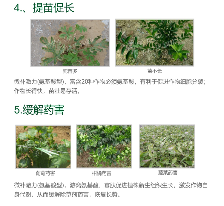 微補(bǔ)激力氨基酸型