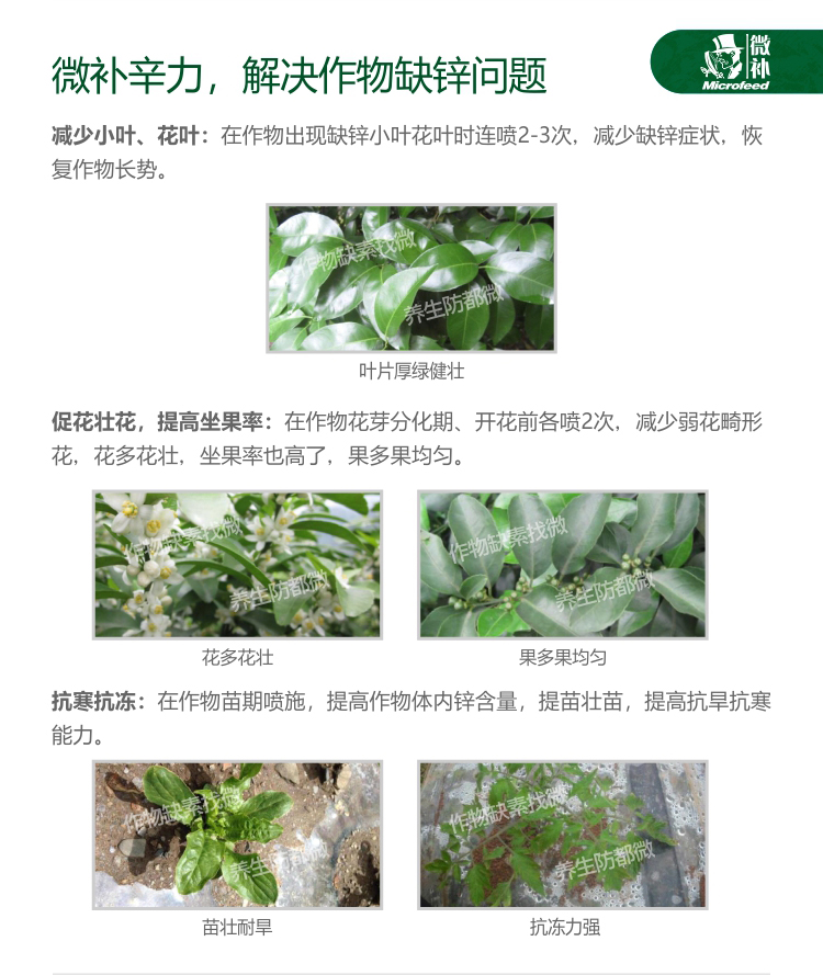 微補(bǔ)辛力